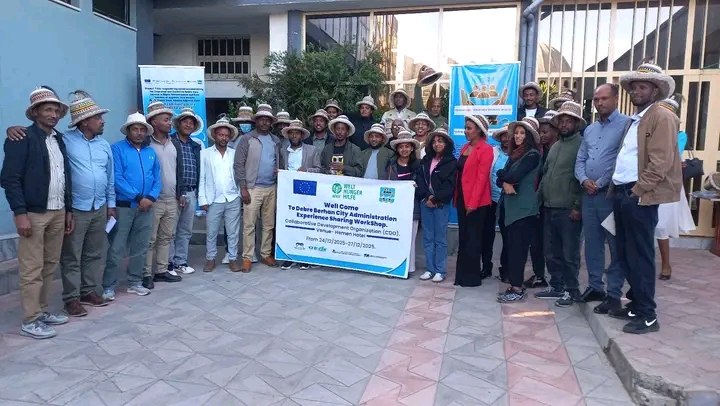 ሲዲኦ /CDO/ ግብረ ሰናይ ድርጅት በወረዳውና በክፍለ ከተማው በጤናው ዘርፍ ያከናወናቸው ስራዎች ላይ ከባለ ድርሻ አጋር አካላት ጋር የልምድ ልውውጥ ማካሄድ ጀመረ